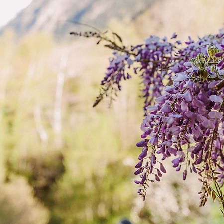Chambre Ou Gite Dans Une Maison De Montagne - De Suzon A Zelie Entraigues  Esterno foto