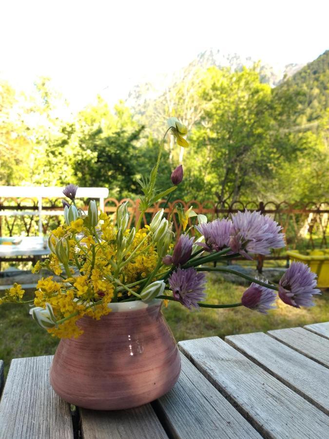 Chambre Ou Gite Dans Une Maison De Montagne - De Suzon A Zelie Entraigues  Esterno foto