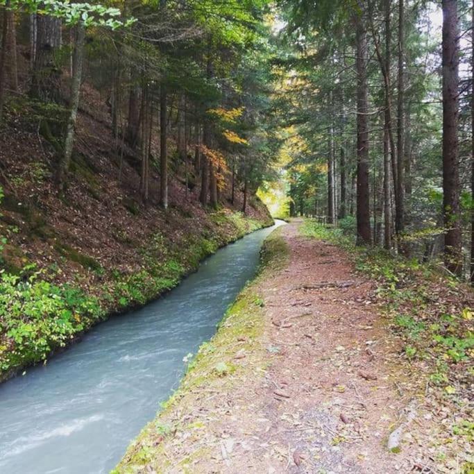 Chambre Ou Gite Dans Une Maison De Montagne - De Suzon A Zelie Entraigues  Esterno foto